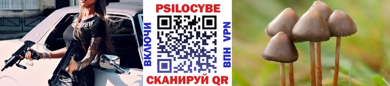 Галлюциногенные грибы Magic Shrooms  магазин  наркотиков  Благовещенск 