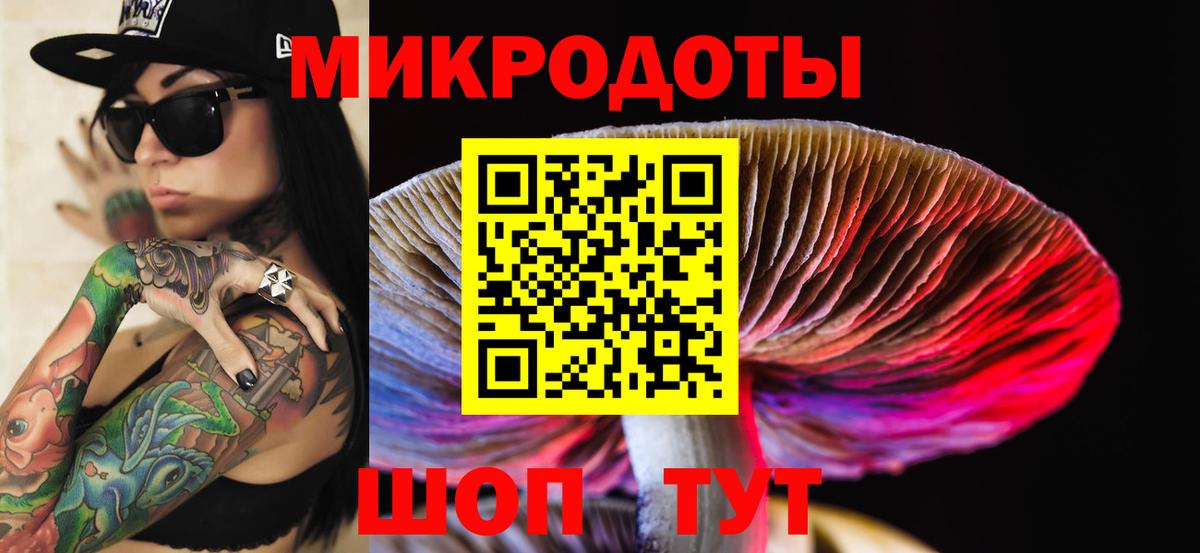 Псилоцибиновые грибы Cubensis Благовещенск